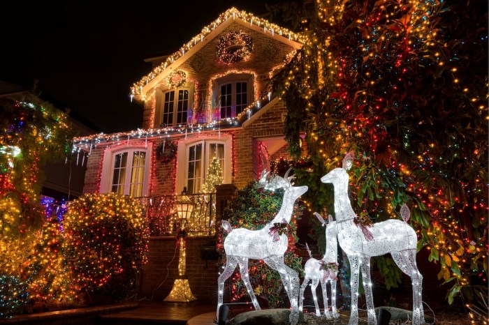 Sams club outdoor christmas decor