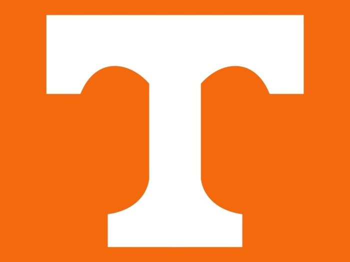 Tennessee vols outdoor decor